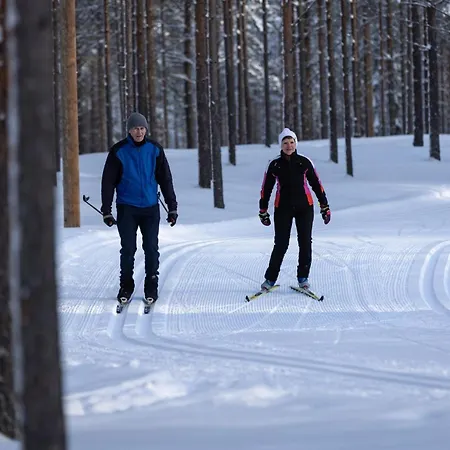 Auringonsaede * Kalajoki