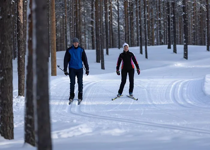 Auringonsaede * Kalajoki